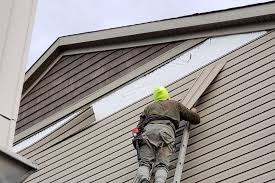 Best Vinyl Siding Installation  in Fishers, IN